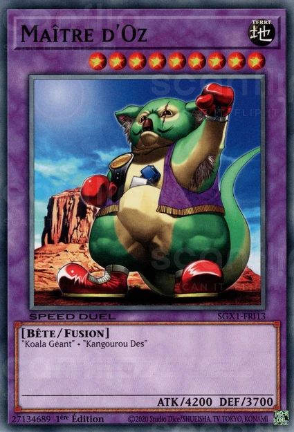 YGO [FR] SGX1-FRI13 MAITRE D'OZ (COMMUNE)