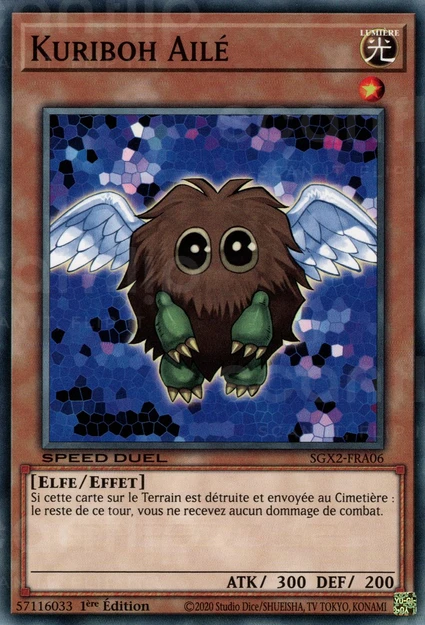 YGO [FR] SGX2-FRA06 KURIBOH AILE (COMMUNE)