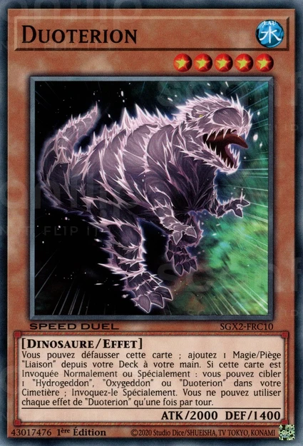 YGO [FR] SGX2-FRC10 DUOTERION (COMMUNE)