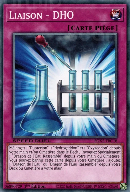 YGO [FR] SGX2-FRC18 LIAISON - DHO (COMMUNE)