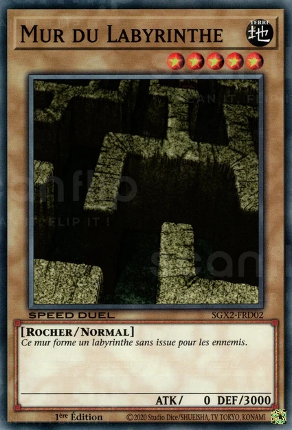 YGO [FR] SGX2-FRD02 MUR DU LABYRINTHE (COMMUNE)