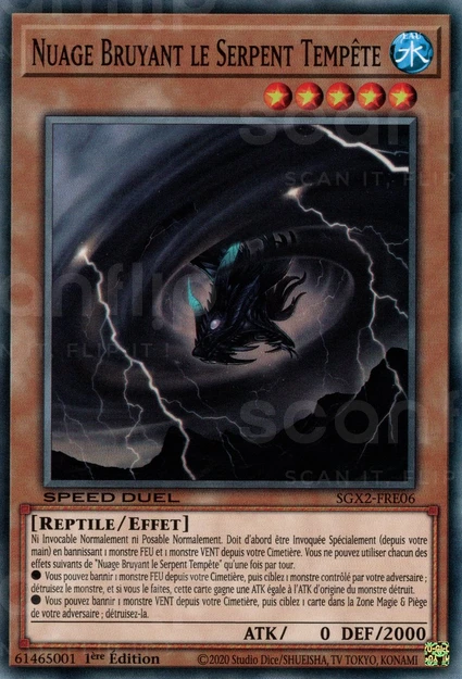 YGO [FR] SGX2-FRE06 NUAGE BRUYANT LE SERPENT TEMPETE (COMMUNE)