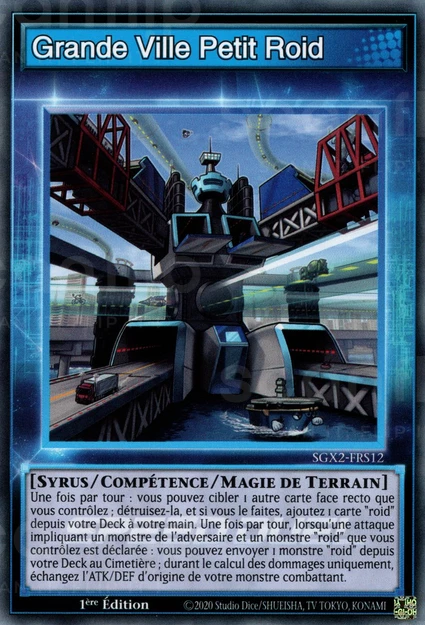 YGO [FR] SGX2-FRS12 GRANDE VILLE PETIT ROID (COMMUNE)