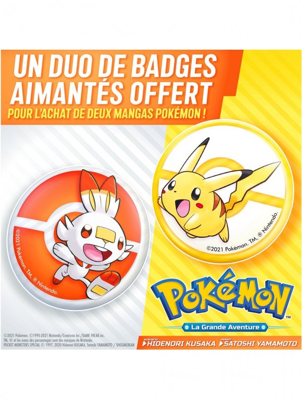 Visuel BADGES POKEMON (OFFERT SOUS CONDITION)