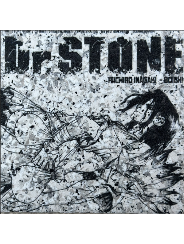 Visuel PIERRE SERIGRAPIHIE DR. STONE (offert sous conditions d'achat)