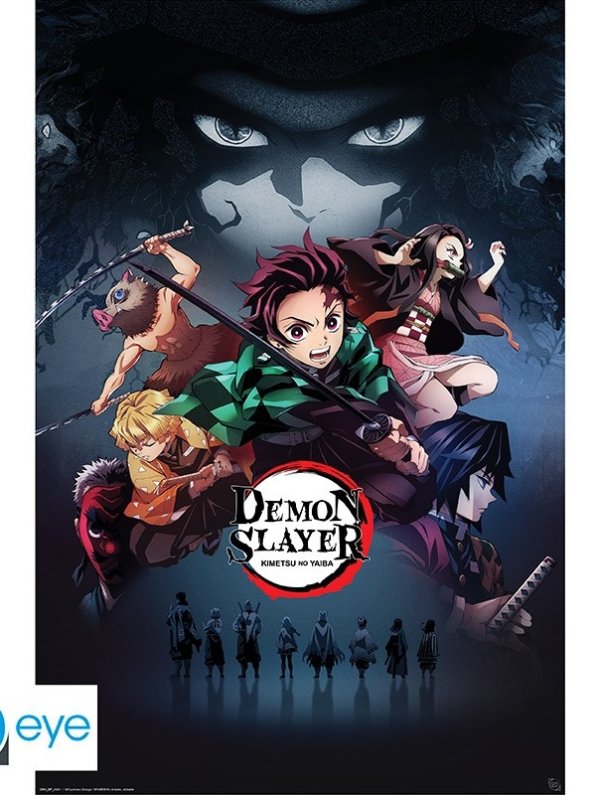 Visuel DEMON SLAYER - POSTER "GROUPE" ROULE FILME (91.5X61)