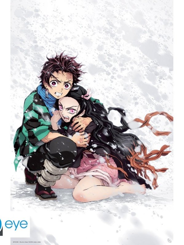 Visuel DEMON SLAYER - POSTER « TANJIRO & NEZUKO NEIGE » ROULE FILME(91.5X61)