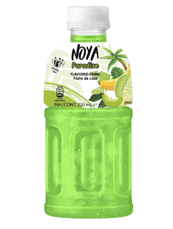 Visuel NOYA NATA DE COCO - PARADISE 320ML