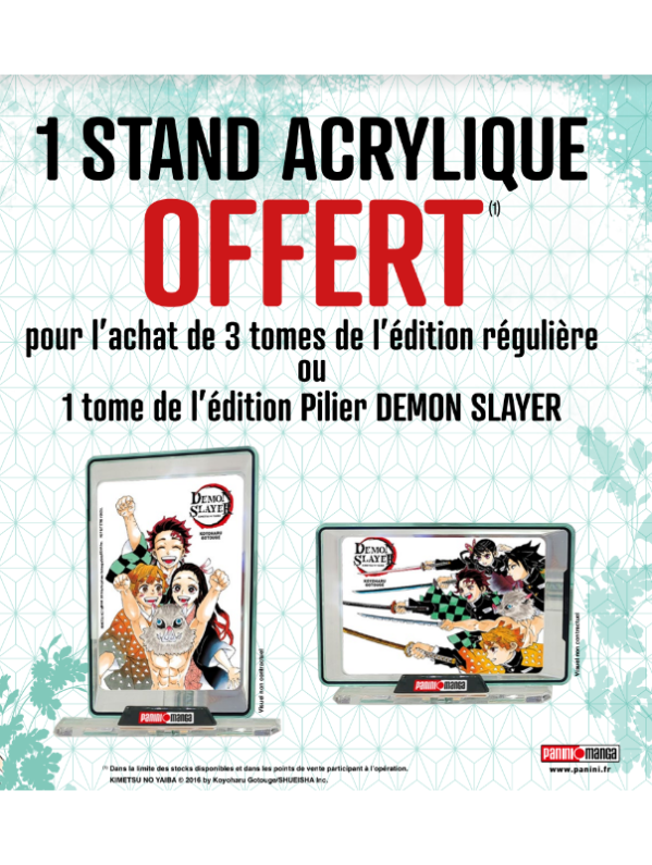 Visuel STAND ACRYLIQUE REVERSIBLE DEMON SLAYER (DEUX IMAGES).