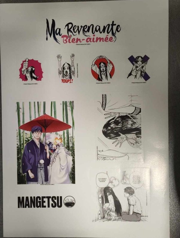 Visuel MA REVENANTE BIEN-AIMEE - PLANCHE DE STICKERS