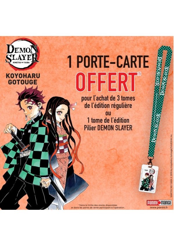 Visuel PORTE-CARTE DEMON SLAYER