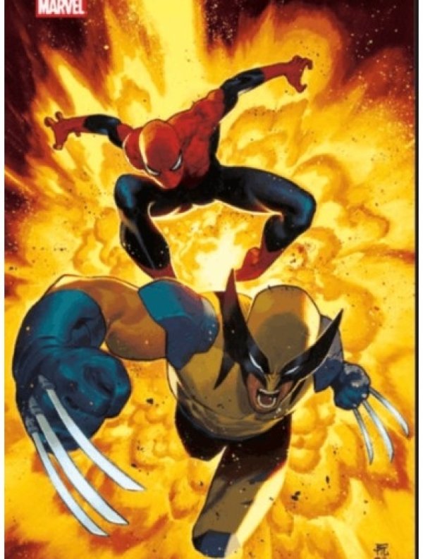 Visuel SPIDER-MAN & WOLVERINE T01 - VARIANTE CSA