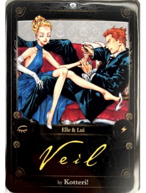 NG-PR001 VEIL CARTE PROMO