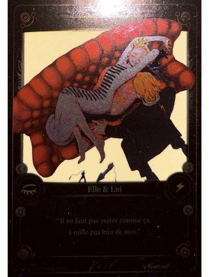 NG003-V03 VEIL coffret FOIL