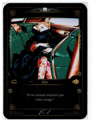 NG027 - VL04 Veil 03