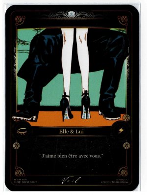 NG028 - VL05 Veil Coffret 03