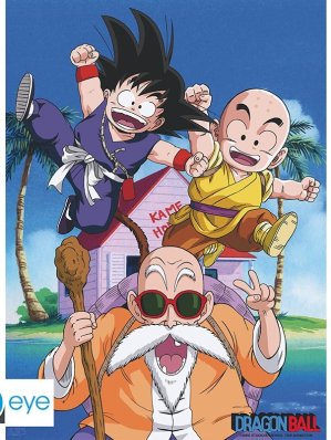 DRAGON BALL - POSTER "DB/ KAME TEAM" (52X38)