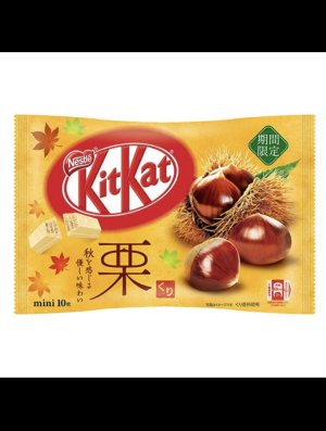 KIT KAT MINI - CHATAIGNE