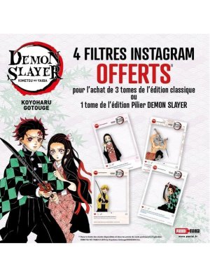 FILTRES INSTAGRAM DEMON SLAYER (OFFERT SOUS CONDITIONS)