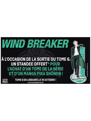 STAND ACRYLIQUE WIND BREAKER - UMEMIYA (OFFERT SOUS CONDITION)