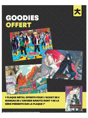 PLAQUE METALLIQUE BORUTO (OFFERT SOUS CONDITION)