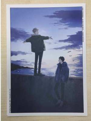 EX-LIBRIS VIES D'ENSEMBLE