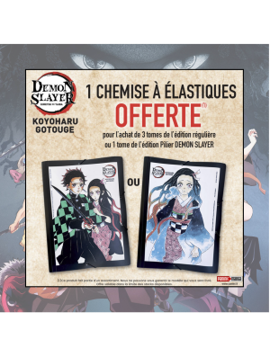 POCHETTE N°1 DEMON SLAYER