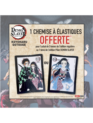 POCHETTE N°2 DEMON SLAYER