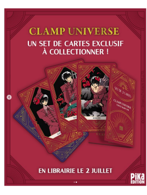 SET DE 3 CARTES TOKYO BABYLON