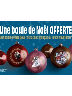 BOULE DE NOEL PIKA ET NOBINOBI 2025