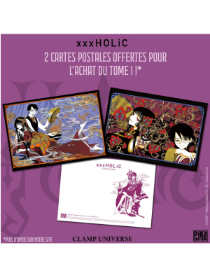 LOT DE DEUX CARTES XXX HOLIC