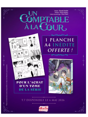 PLANCHE A4 UN COMPTABLE A LA COUR