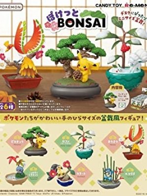 POKEMON POCKET BONSA