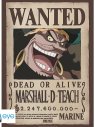 ONE PIECE - POSTER «WANTED BLACKBEARD» (52X38)