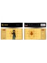 Visuel HUNTER X HUNTER GOLDEN TICKET COL.2 SHIZUKU
