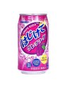 HAJIKETE RAISIN (350ML)