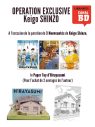 PAPER TOY HIRAYASUMI (OFFERT SOUS CONDITION)