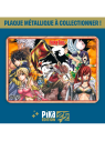 Visuel Plaque en m&eacute;tal Fairy Tail - 25 ans de Pika
