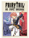 Visuel AFFICHE LUXE 30ES RDVBD - FAIRY TAIL - NUMEROTEE A 400 EX - 50X70CM