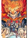 BLACK CLOVER T15