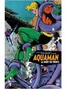 Visuel AQUAMAN